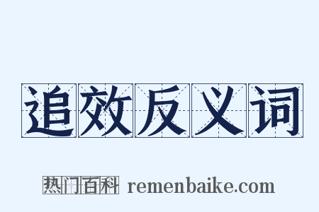 追效反义词是什么意思的图片